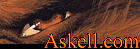 http://soleilactu.free.fr/Blog/askell_com.gif